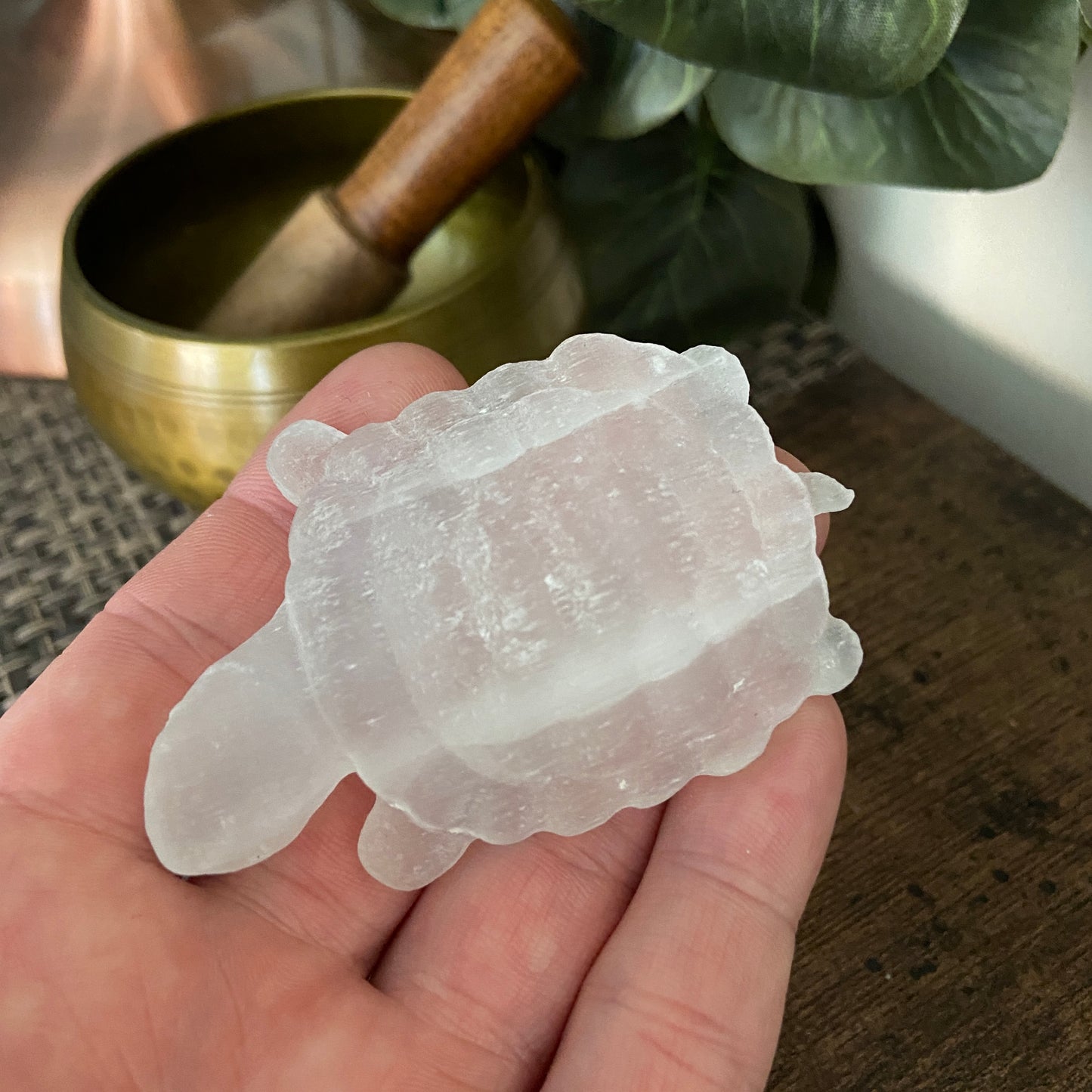 Selenite Turtle Carving - Earth Elements UK