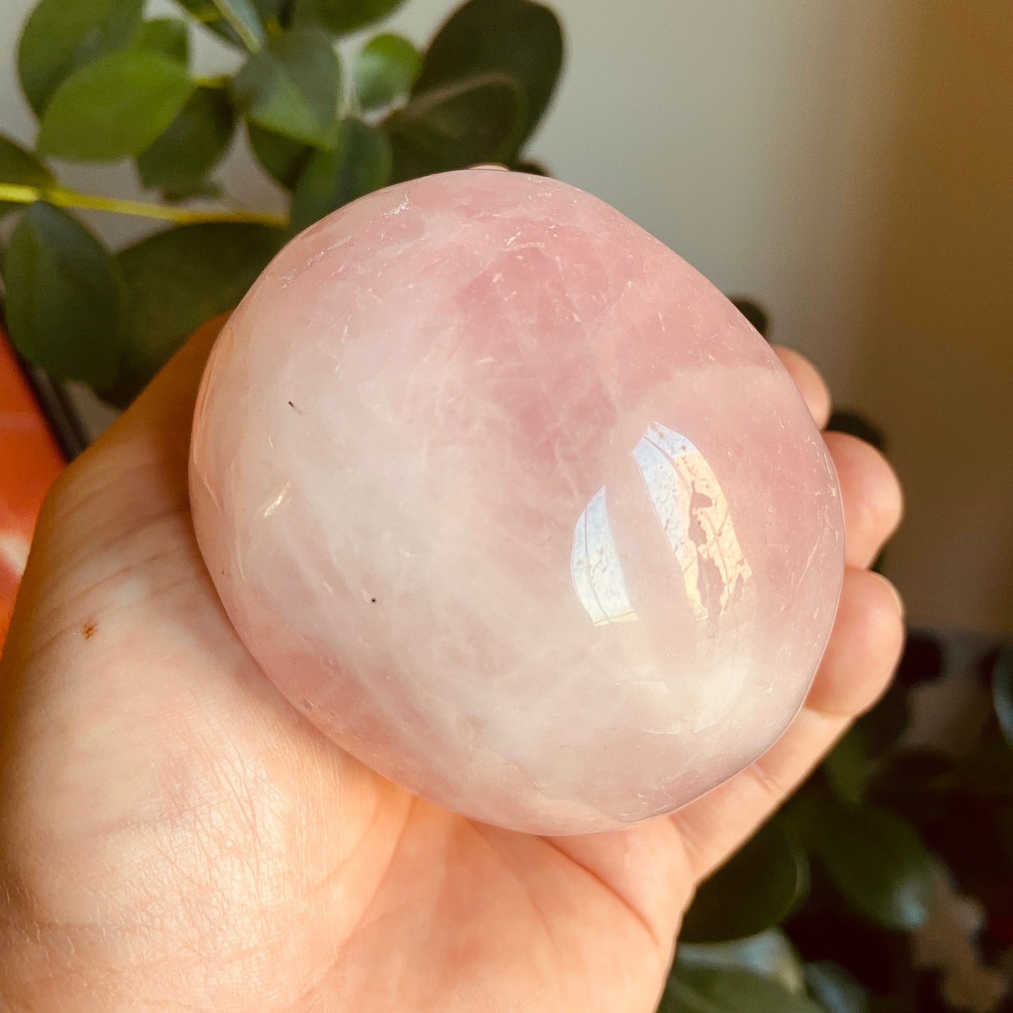 Rose Quartz Large Skull – 646g - Earth Elements UK