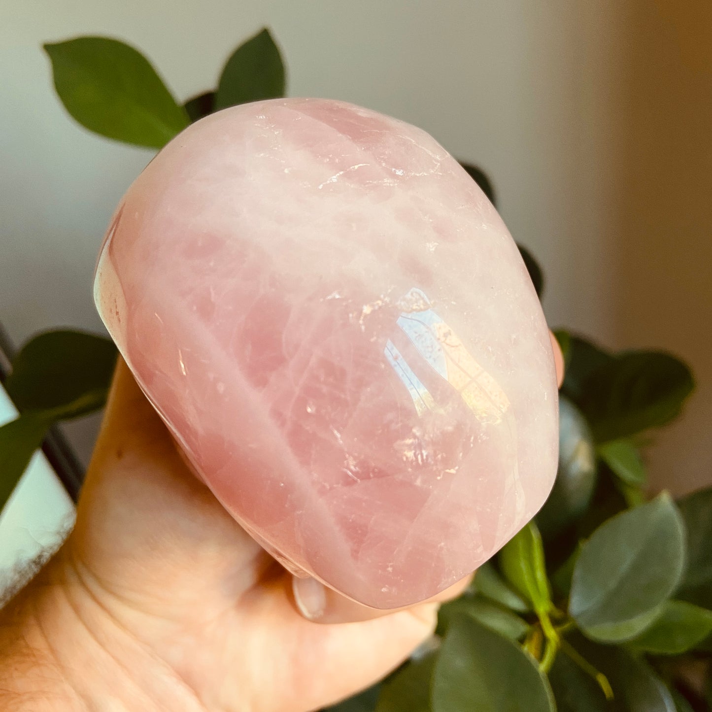 Rose Quartz Large Skull – 547g - Earth Elements UK