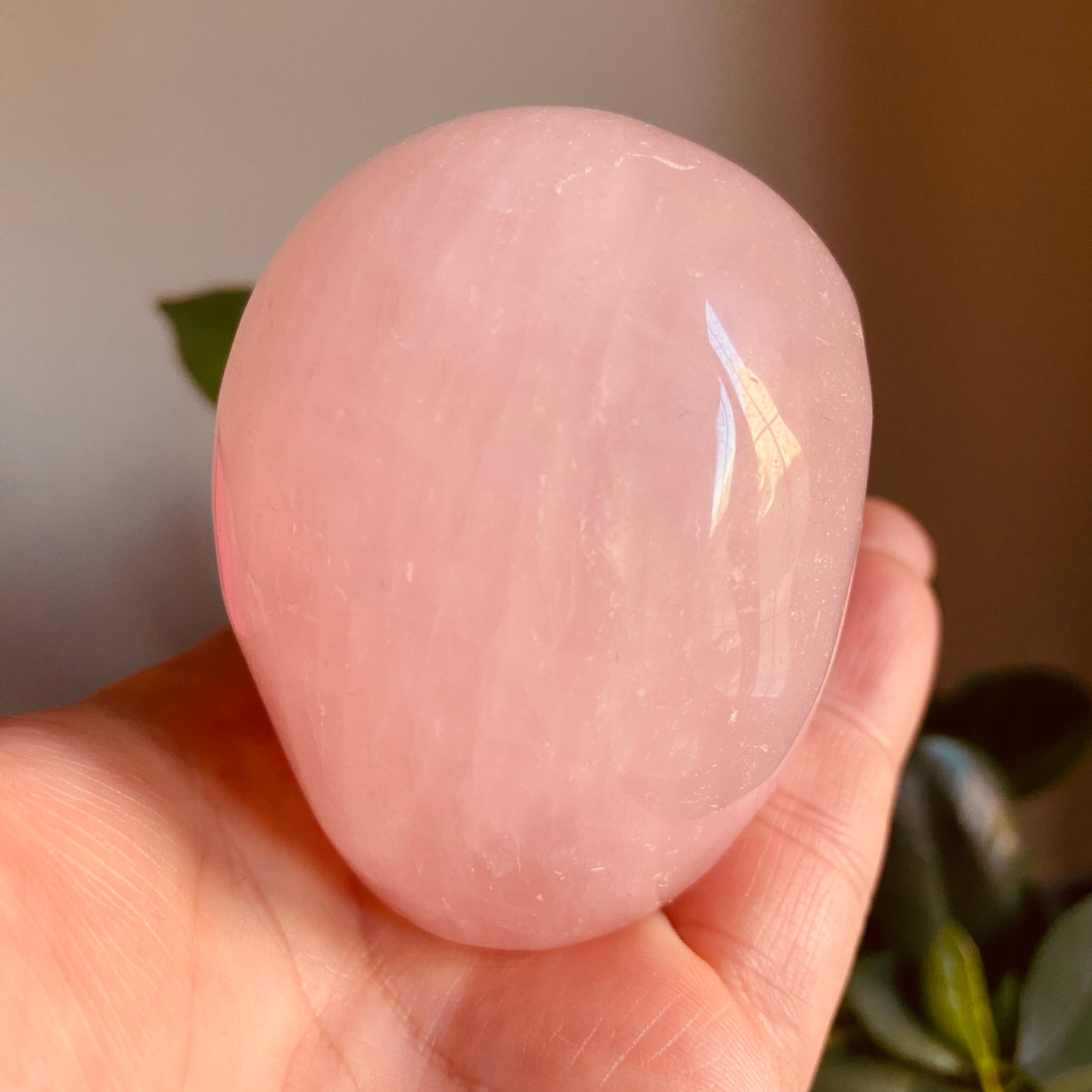 Rose Quartz Large Skull – 396g - Earth Elements UK
