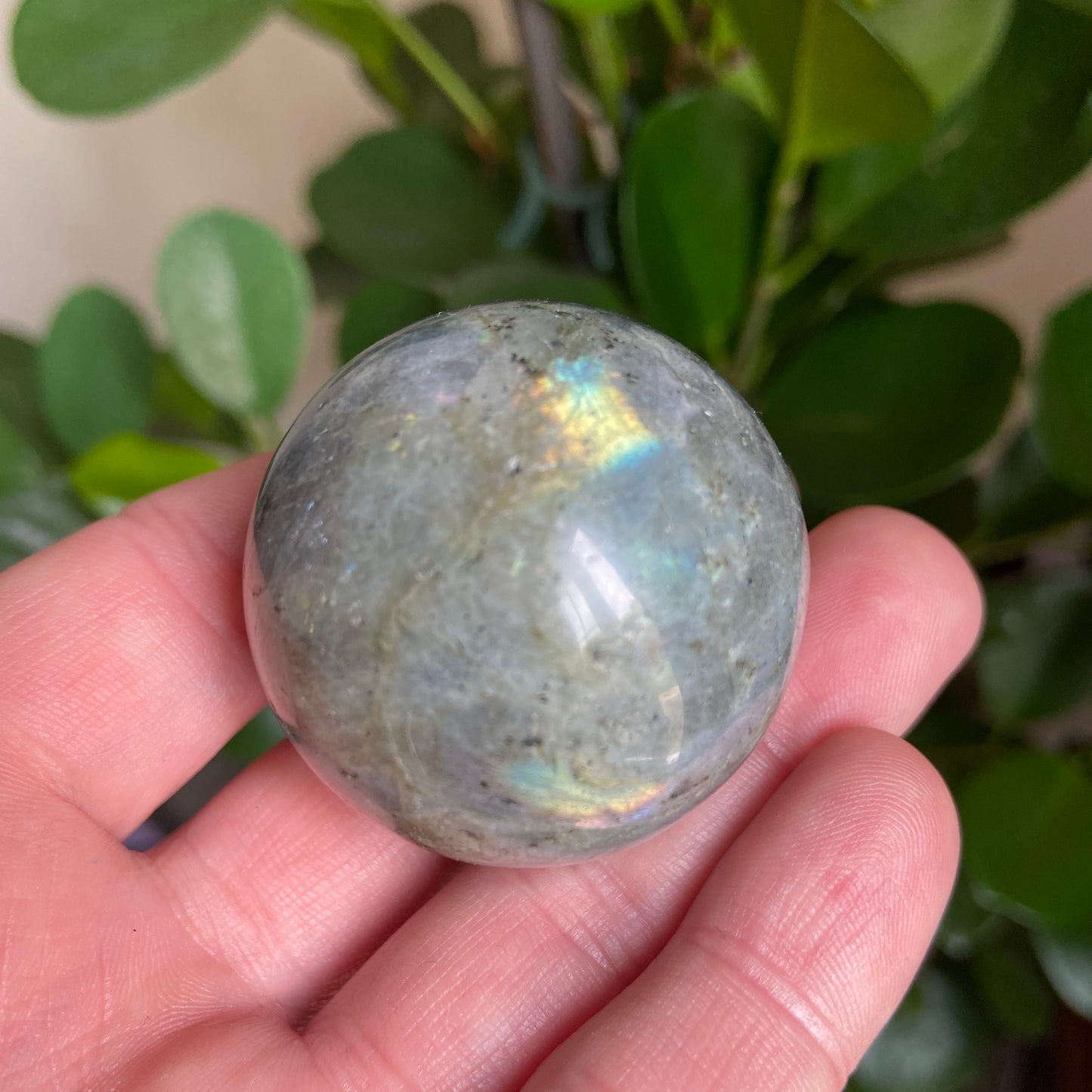 Small Labradorite Sphere - Earth Elements UK