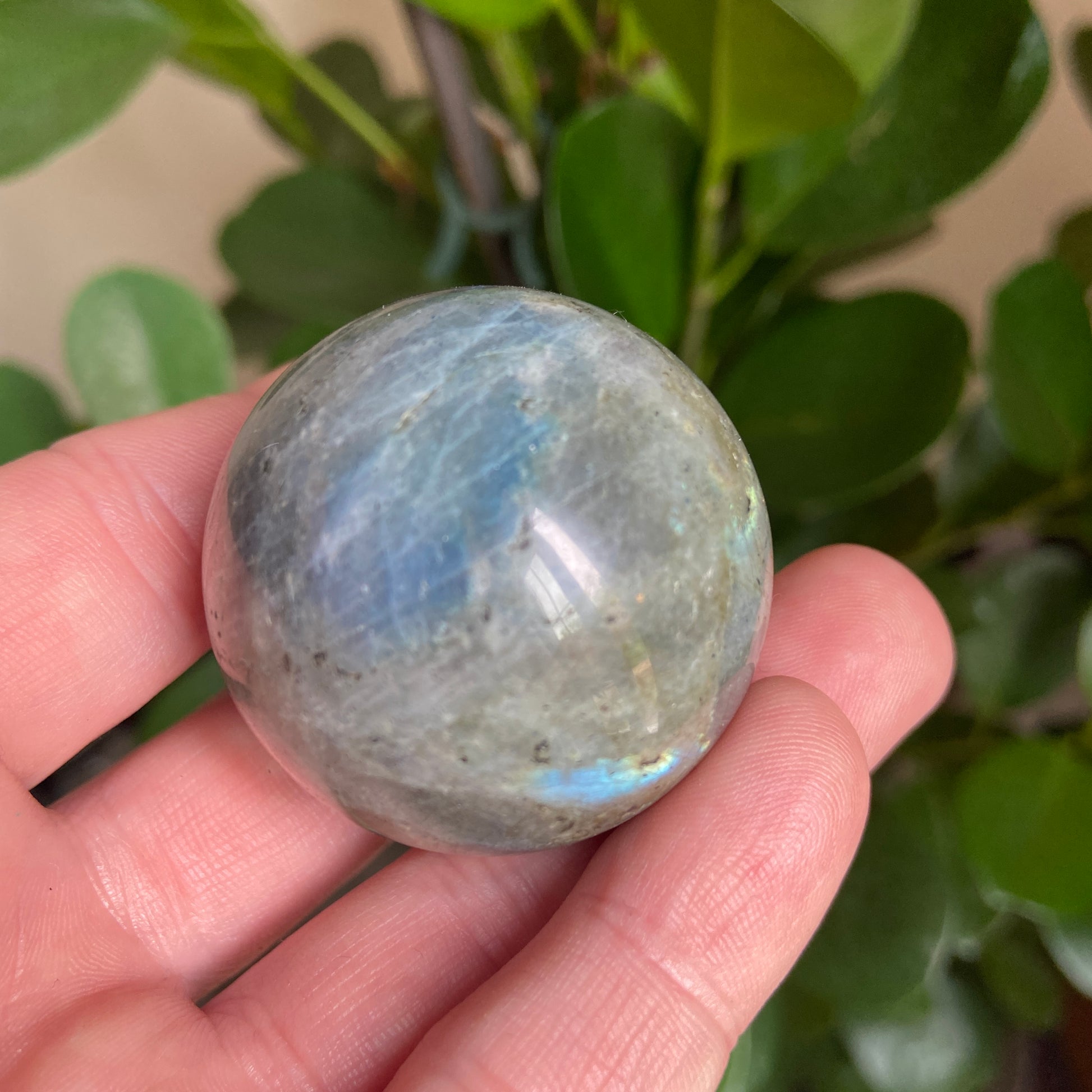 Small Labradorite Sphere - Earth Elements UK