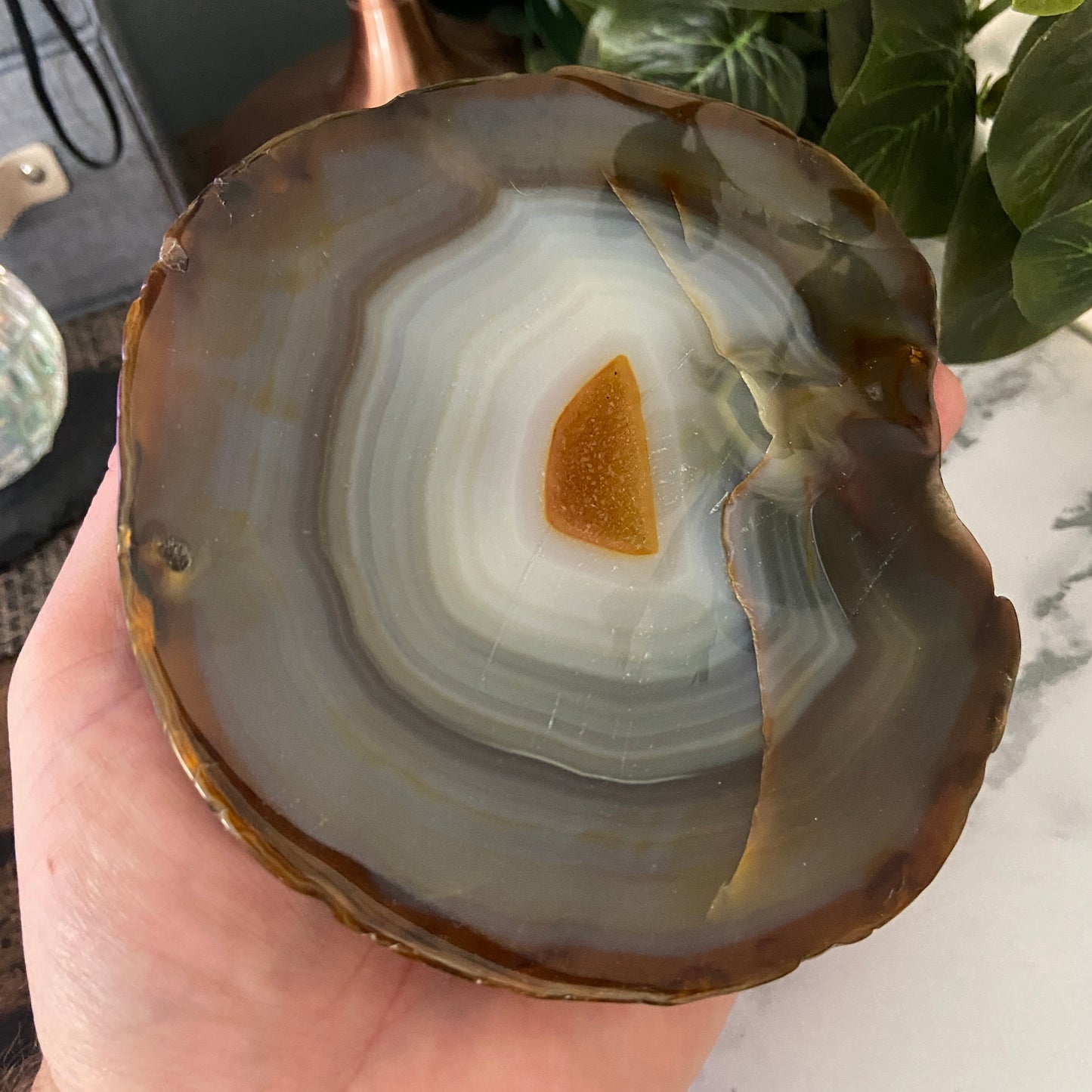 Stunning Chunky Natural Agate Slices - Earth Elements UK