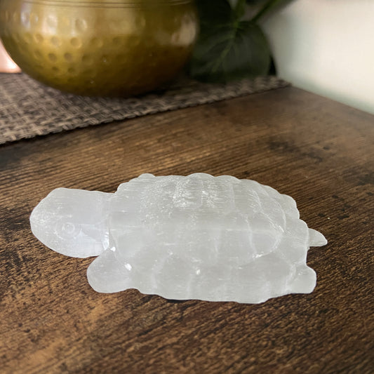 Selenite Turtle Carving - Earth Elements UK