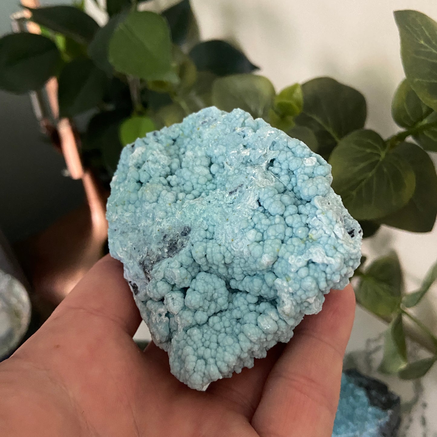 Looks like it's sold in Lush - Earth Elements UK