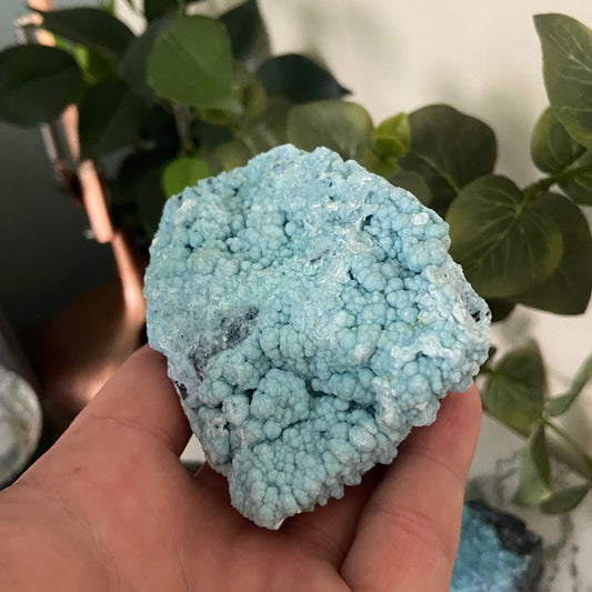 Looks like it's sold in Lush - Earth Elements UK