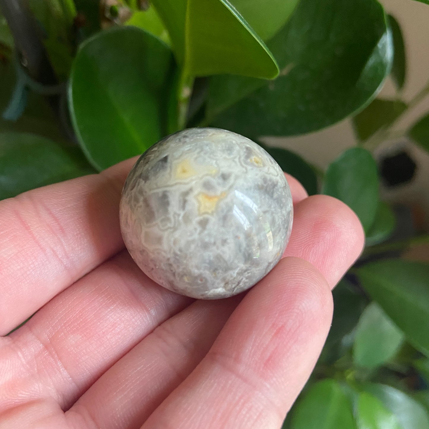 Crazy Lace Agate Small Sphere - Earth Elements UK