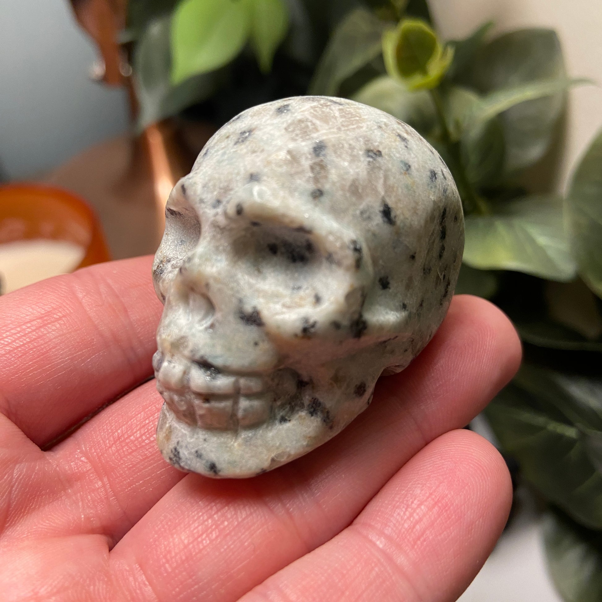 Kiwi Jasper Small Skull - Earth Elements UK