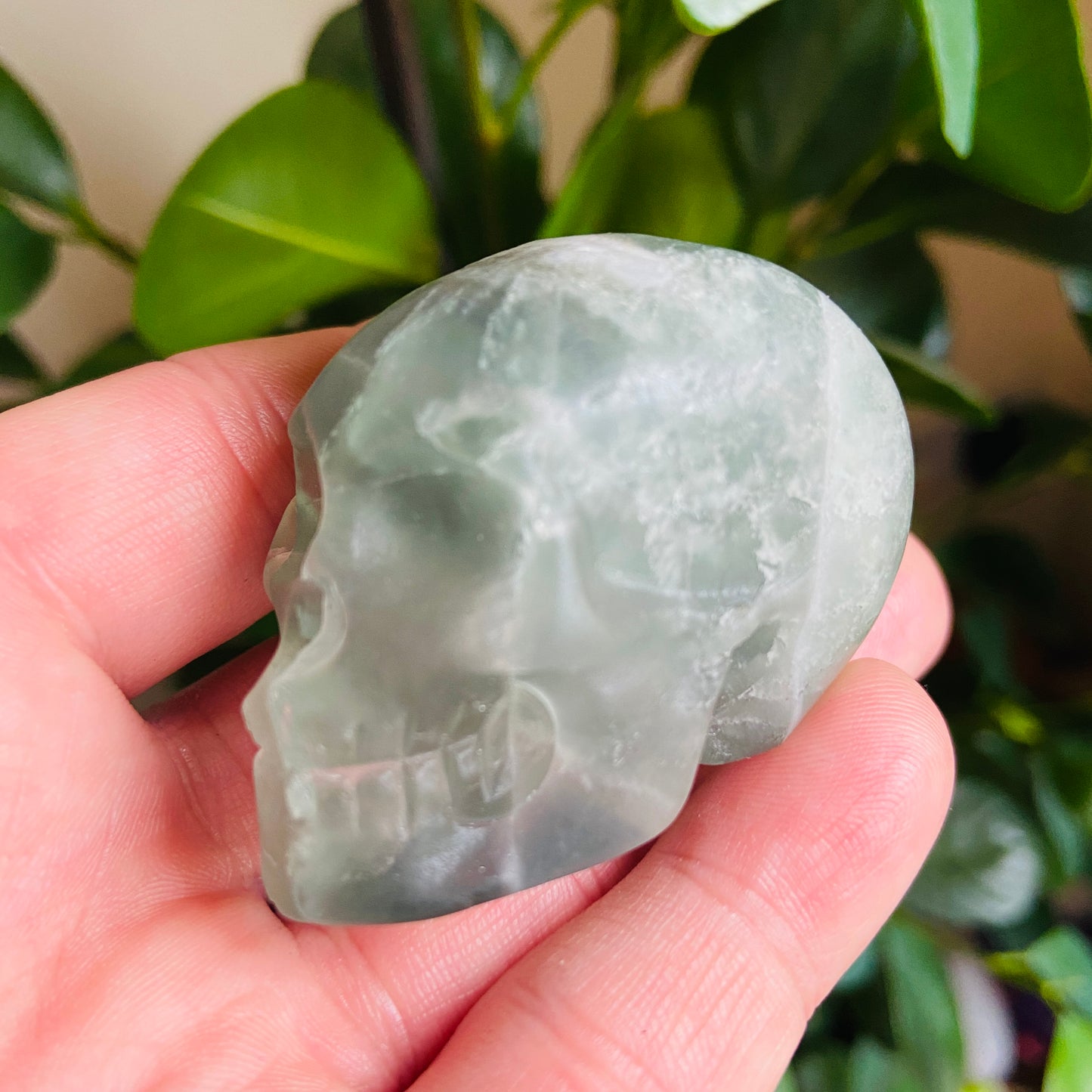 Green Fluorite Small Skull - Earth Elements UK