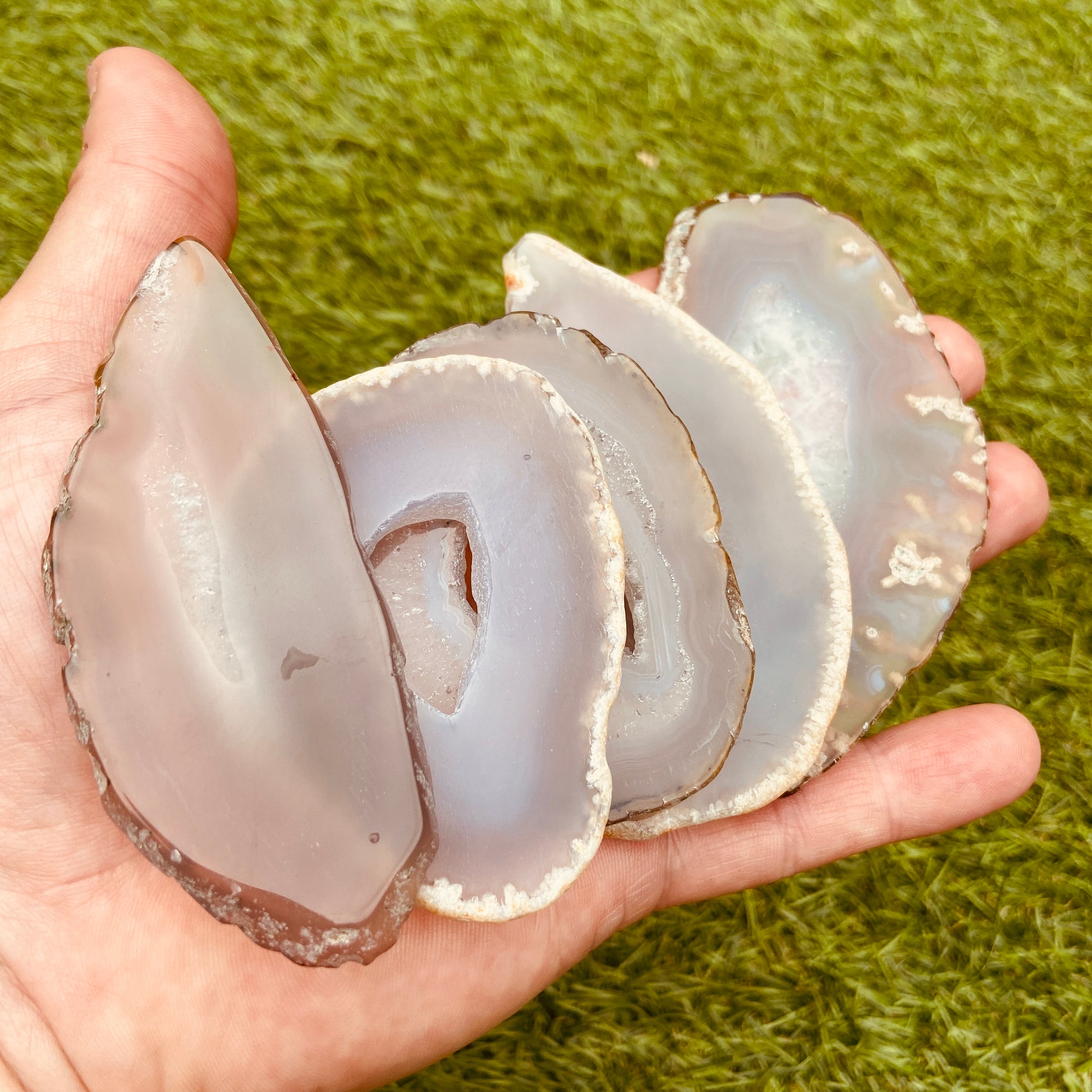 Agate Slices - Earth Elements UK