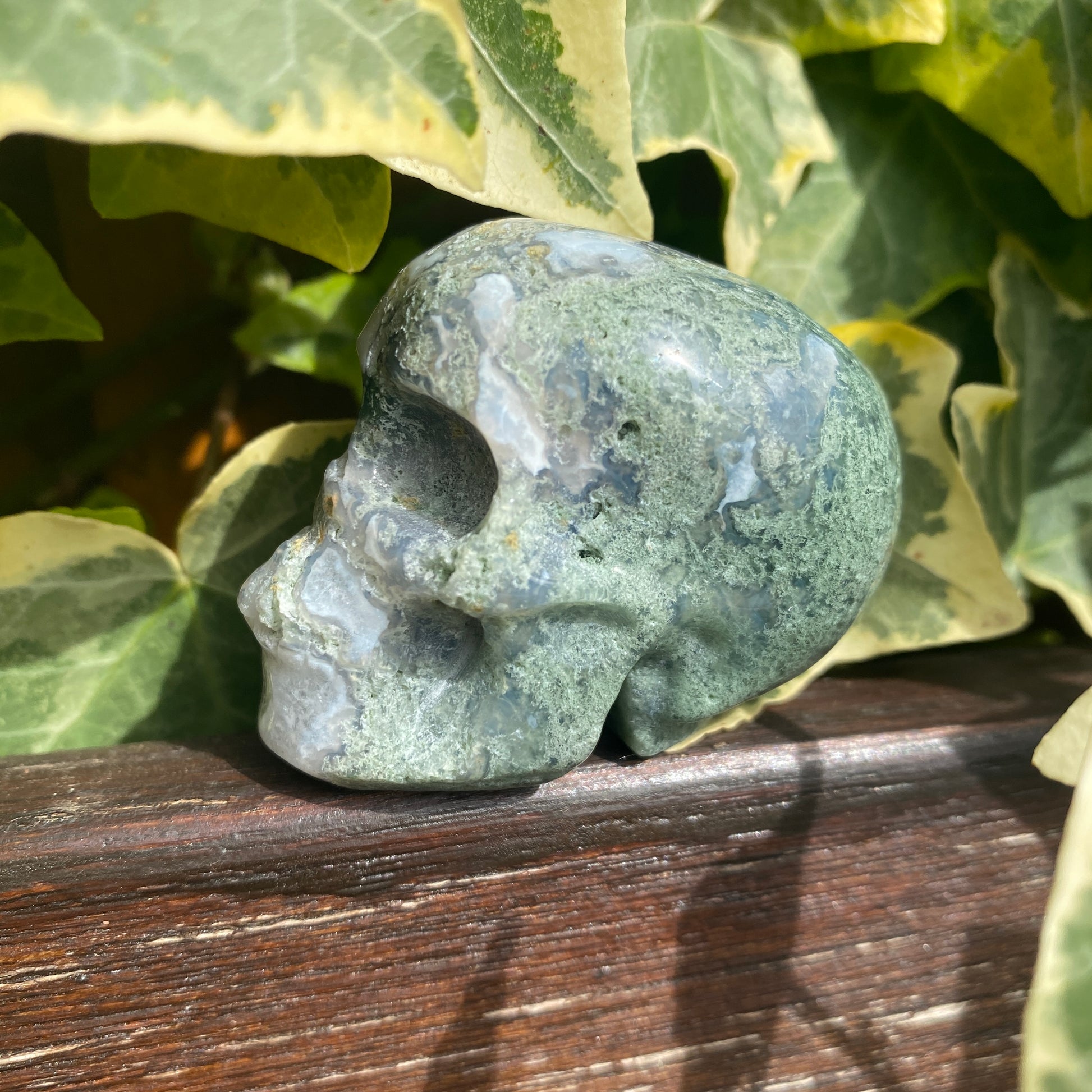 Small Moss Agate Skulls - Earth Elements UK