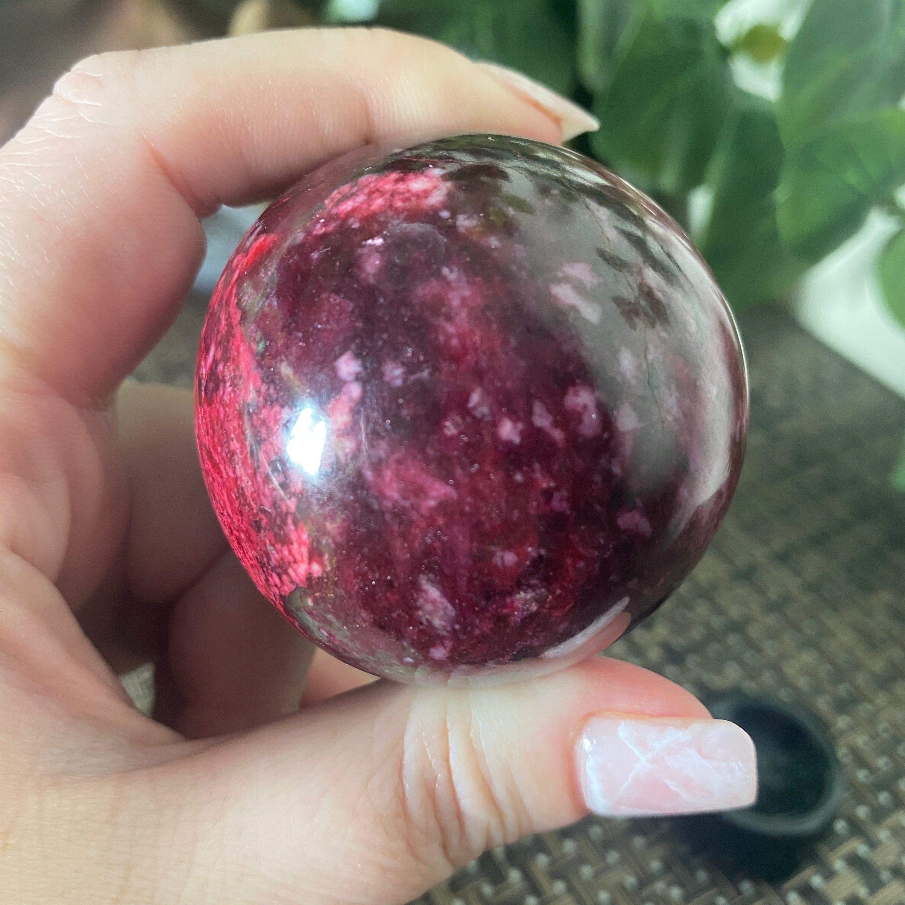 2024 Sphere. 224. M. Amazing Plum blossom Jade