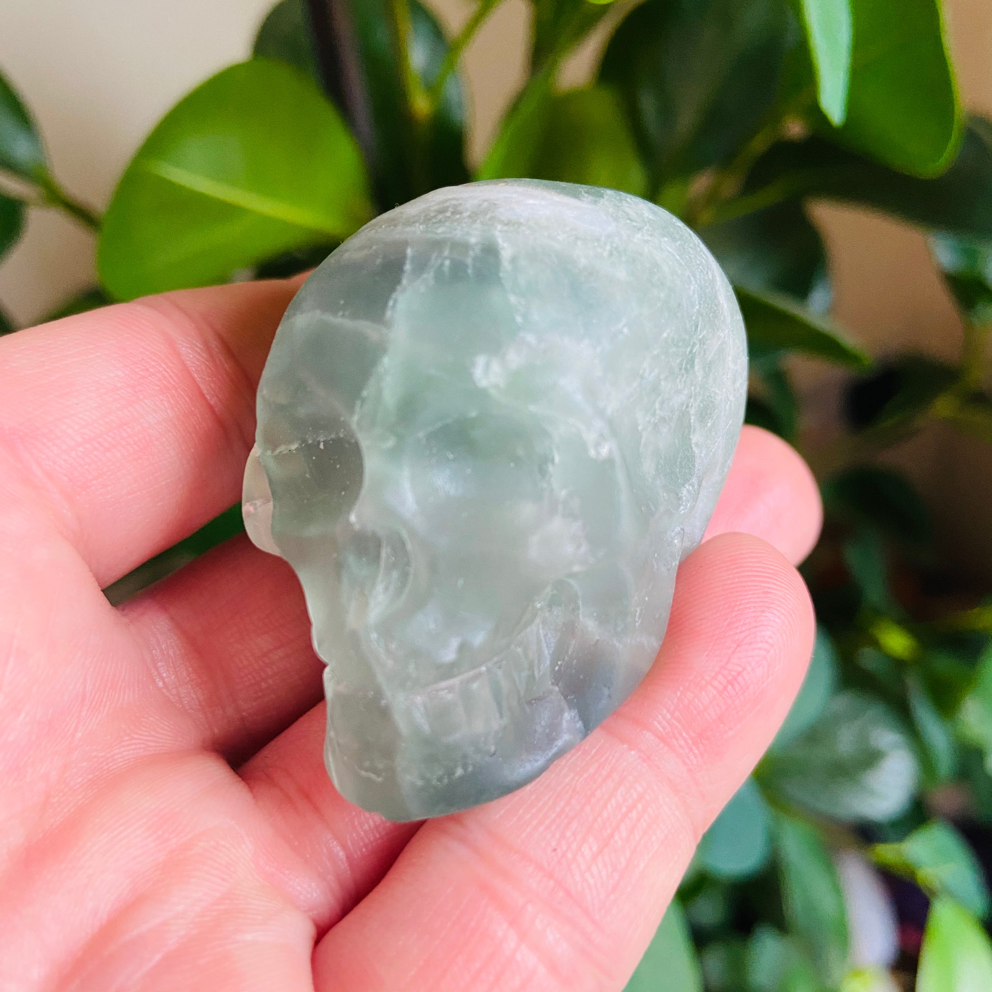 Green Fluorite Small Skull - Earth Elements UK