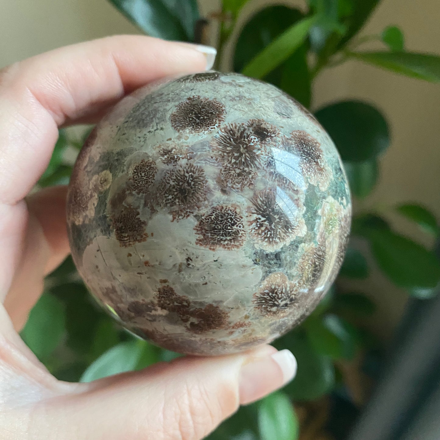 Green Flower Jasper Sphere - Earth Elements UK