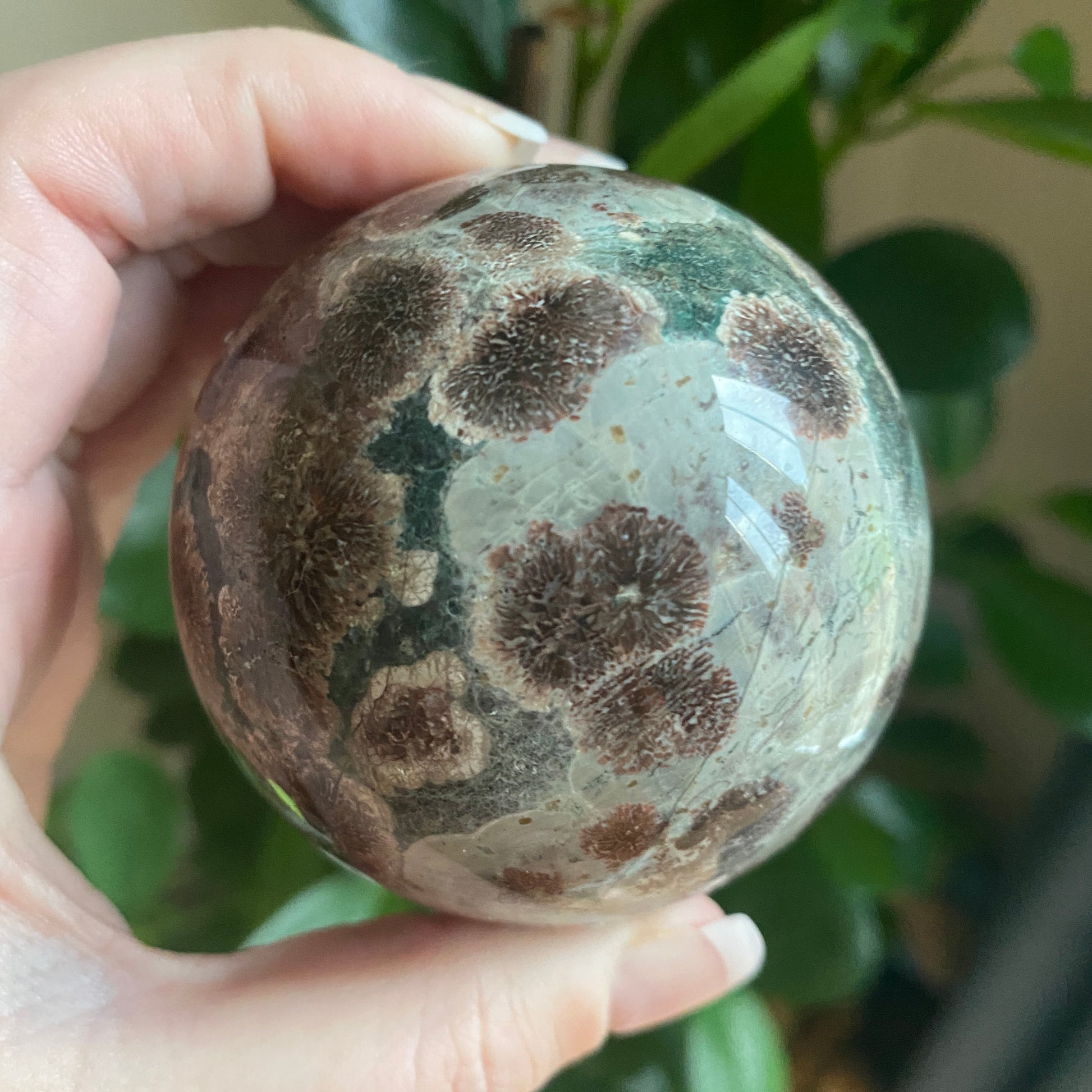 Green Flower Jasper Sphere - Earth Elements UK